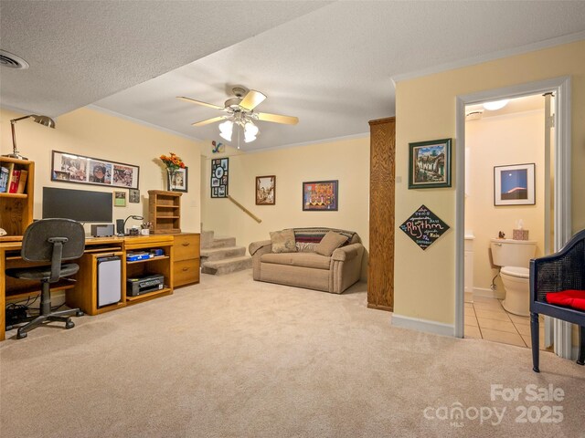 carpeted office space with ceiling fan, ornamental molding, baseboards, tile patterned floors, and a textured ceiling