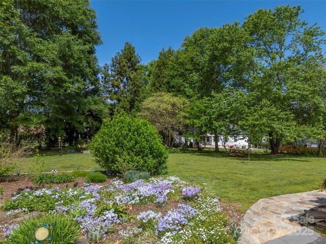 view of green lawn
