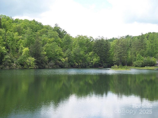 water view featuring a forest