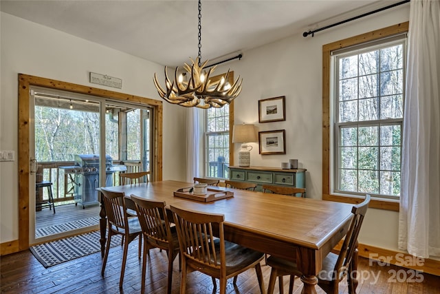 dining room featuring a chandelier, healthy amount of natural light, and wood-type flooring