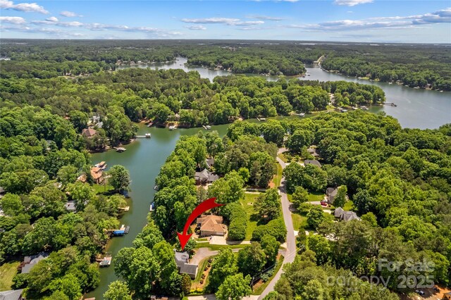 141 Ridge Top Rd, Mooresville, NC 28117 - aerial view of a heavily wooded area and a nearby body of water
