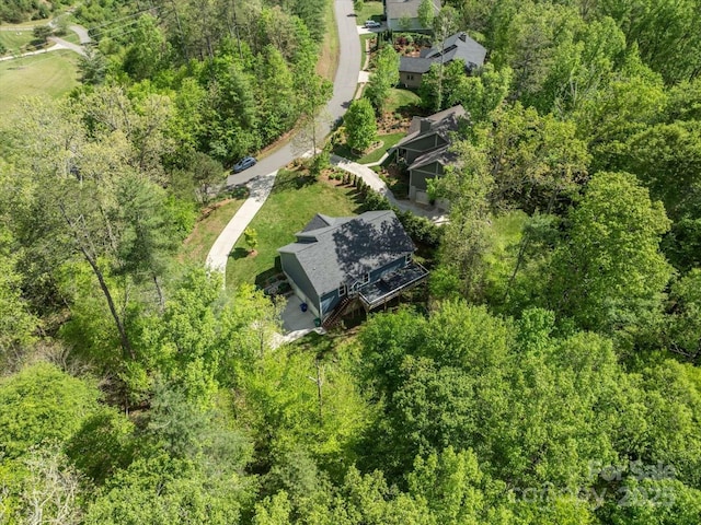 aerial view of a forest