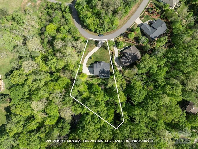 bird's eye view