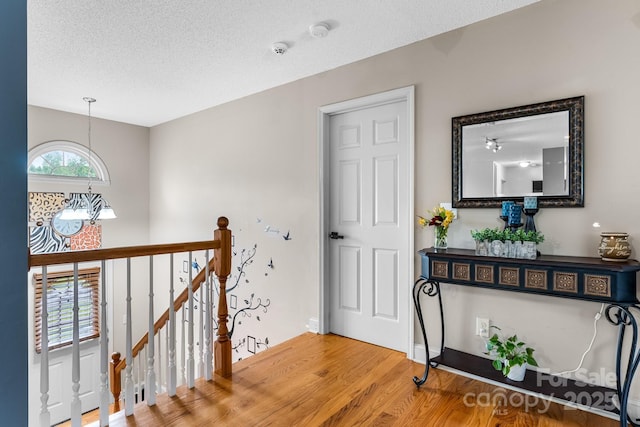 foyer entrance with wood finished floors and a textured ceiling