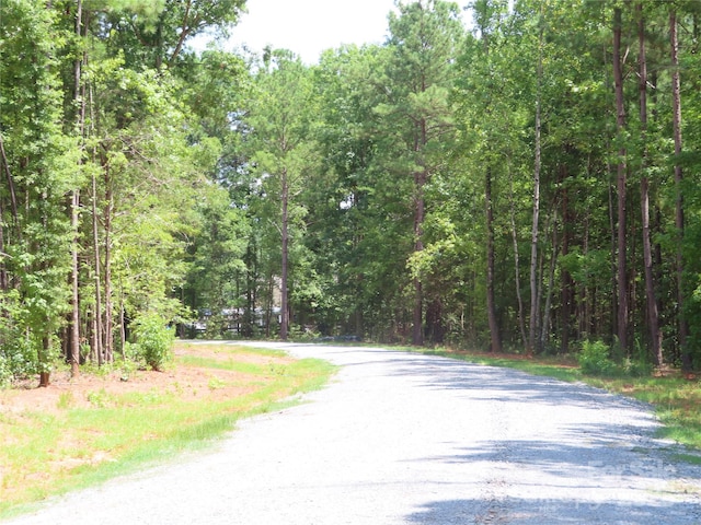 2099 Cedar Rd, York, SC 29745 - photo 30