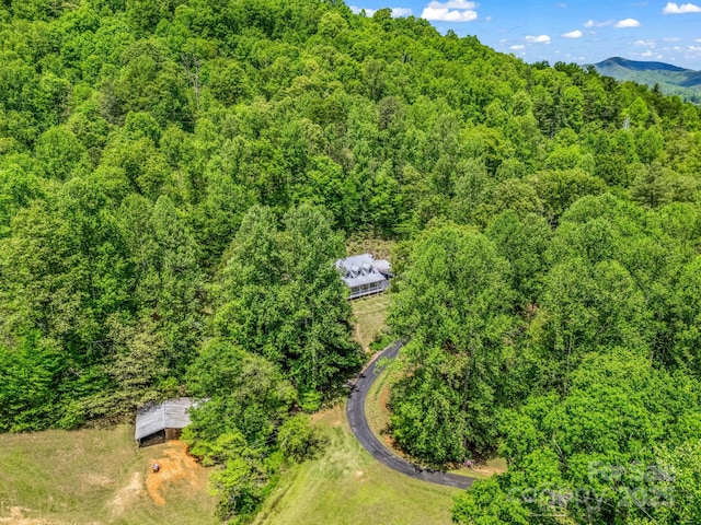 drone / aerial view of a forest