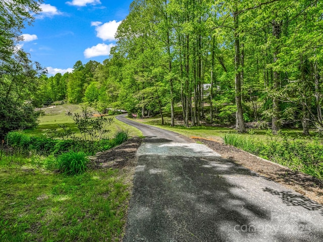 view of road featuring a wooded view