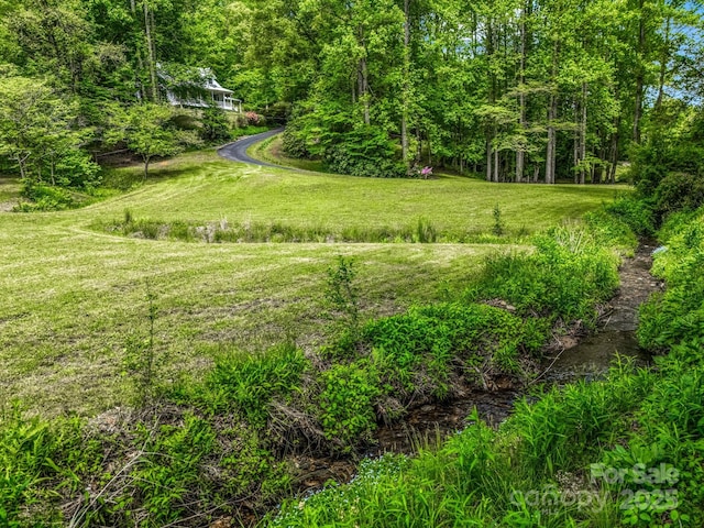 view of grassy yard