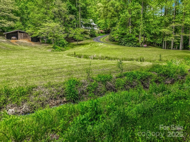 view of grassy yard featuring a wooded view