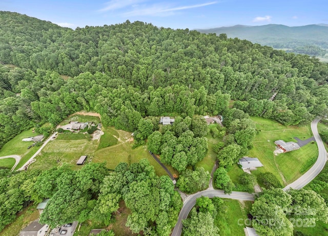10 Kettle Creek Ln, Brevard, NC 28712 - aerial view of property and surrounding area with a heavily wooded area and a mountainous background