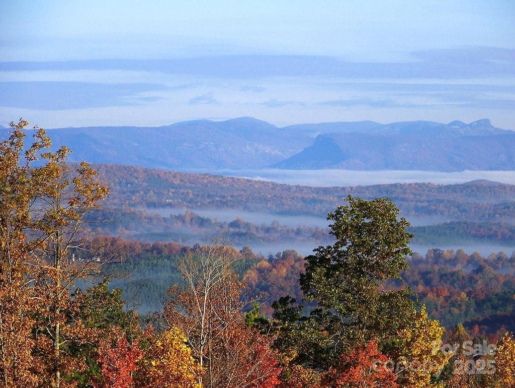 0 Adirondack Trl, Nebo, NC 28761