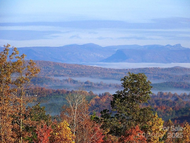 0 Adirondack Trl, Nebo, NC 28761