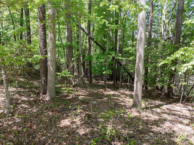 99999 Brevard Rd, Arden, NC 28704