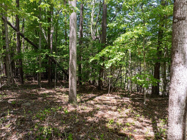 99999 Brevard Rd, Arden, NC 28704