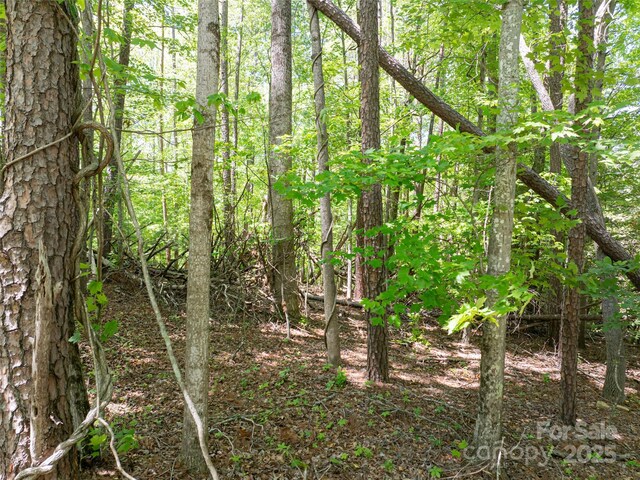 99999 Brevard Rd, Arden, NC 28704