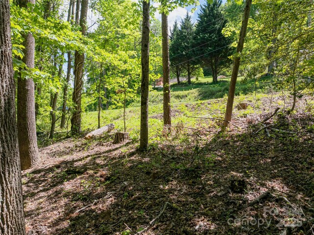 99999 Brevard Rd, Arden, NC 28704