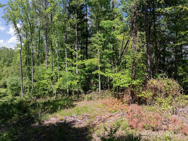 99999 Brevard Rd, Arden, NC 28704