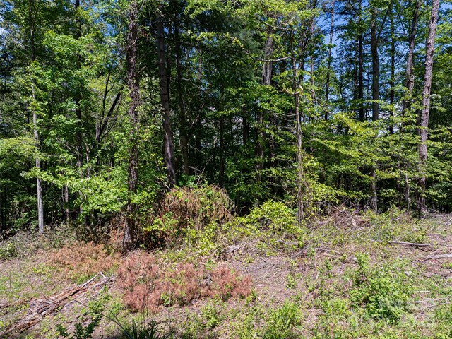 99999 Brevard Rd, Arden, NC 28704