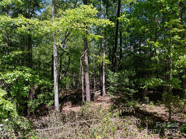 99999 Brevard Rd, Arden, NC 28704