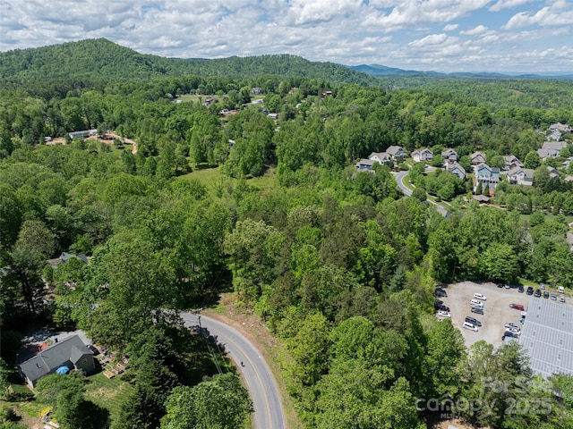 99999 Brevard Rd, Arden, NC 28704