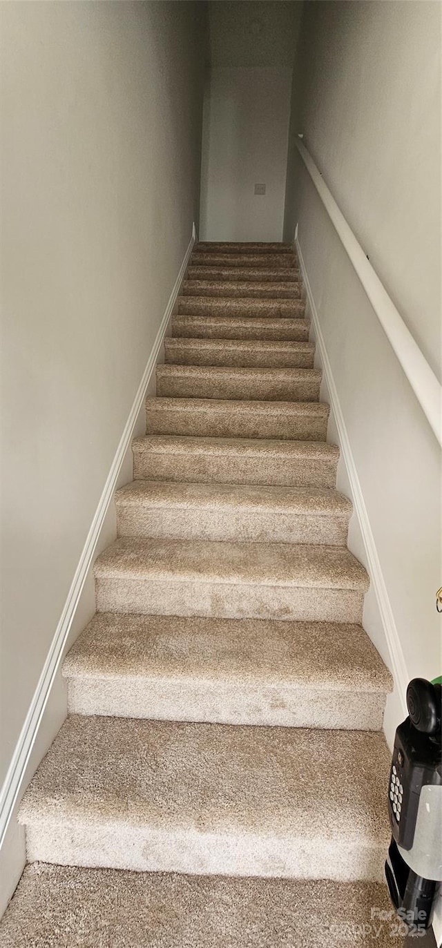 stairway featuring carpet floors