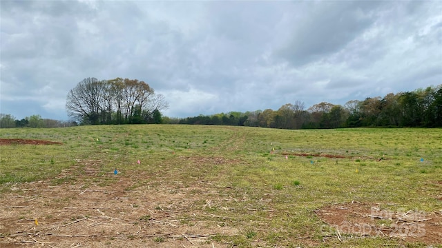 TBD Alf Hoover Rd Unit 4, Lincolnton, NC 28092 - view of yard featuring a view of rural / pastoral area