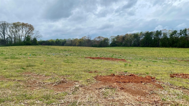 TBD Alf Hoover Rd Unit 4, Lincolnton, NC 28092 - view of yard featuring a view of countryside and a wooded view