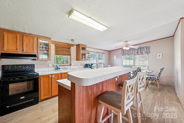 4122 Canal Rd, Marshville, NC 28103 - kitchen with electric range, under cabinet range hood, light countertops, a textured ceiling, and light wood-style floors