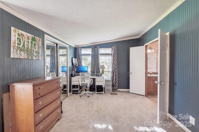 4122 Canal Rd, Marshville, NC 28103 - office with ornamental molding, a textured ceiling, light carpet, and a sink