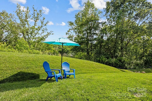 106 Wheeler Rd, Weaverville, NC 28787 - photo 35
