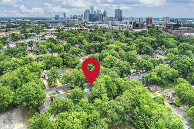 aerial view of a skyline view and a tree filled landscape