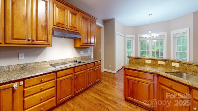 kitchen with under cabinet range hood, electric stovetop, light wood finished floors, brown cabinetry, and a chandelier