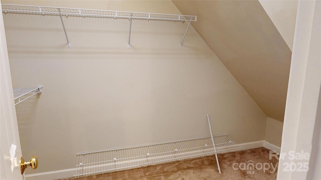 walk in closet with carpet and lofted ceiling