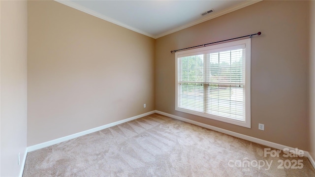 spare room with crown molding, carpet flooring, and baseboards