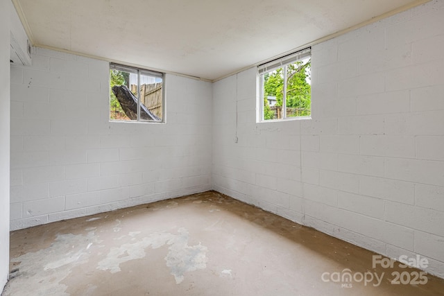 basement with healthy amount of natural light and concrete block wall
