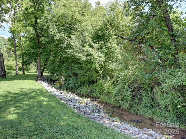 20 Brooks Cove Rd, Candler, NC 28715 - photo 36