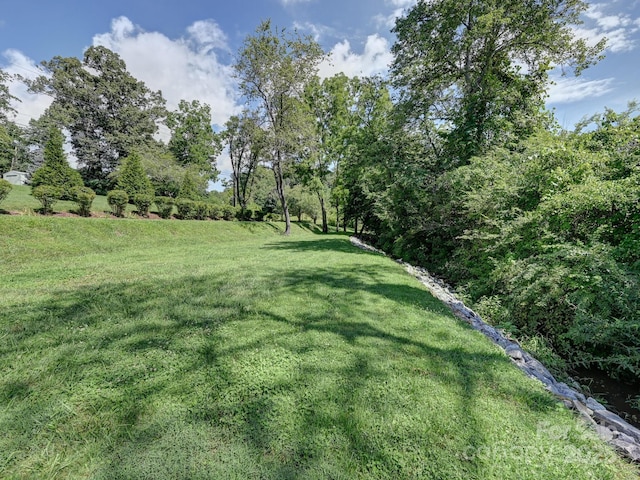 20 Brooks Cove Rd, Candler, NC 28715 - photo 44