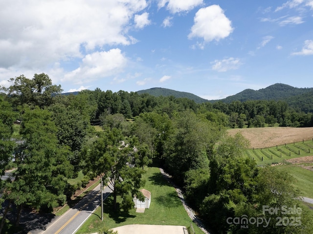 20 Brooks Cove Rd, Candler, NC 28715 - photo 47