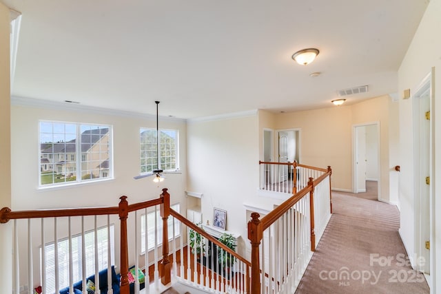 6227 Castlecove Rd, Charlotte, NC 28278 - hall with an upstairs landing, carpet flooring, and ornamental molding