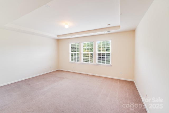 6227 Castlecove Rd, Charlotte, NC 28278 - unfurnished room with a raised ceiling and carpet floors