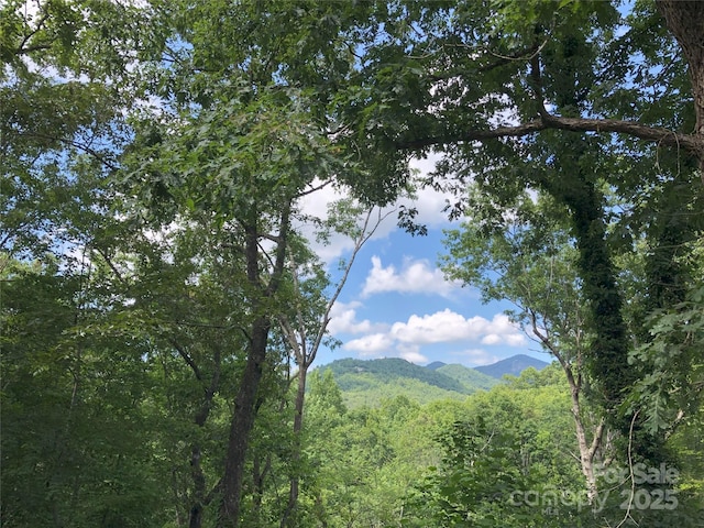 view of mountain background featuring a forest