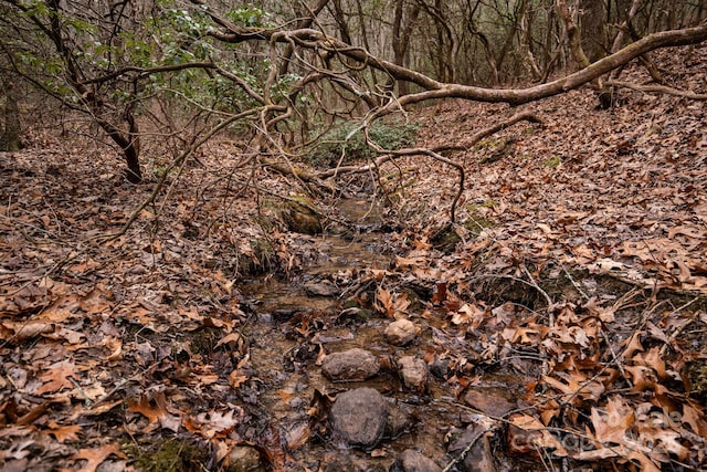 view of nature