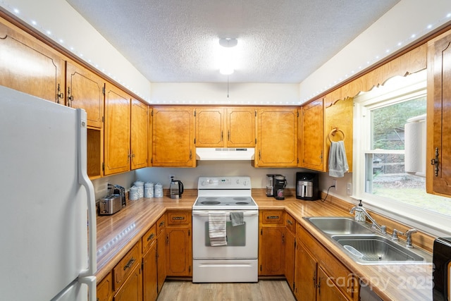 kitchen with white appliances, a sink, under cabinet range hood, a textured ceiling, and light wood-style flooring