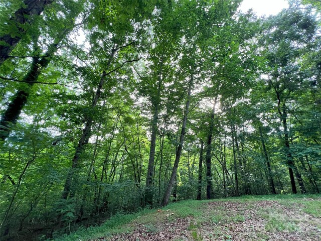 view of woods