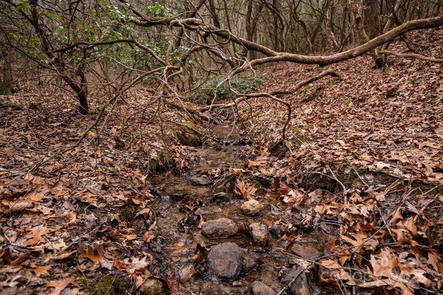 202 Otto Heights Rd, Franklin, NC 28734 - view of local wilderness