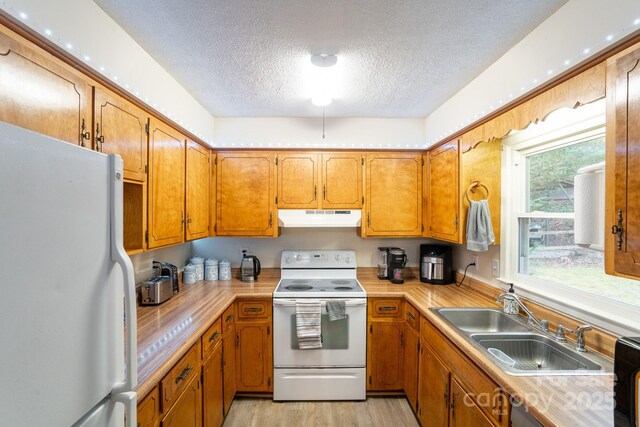 202 Otto Heights Rd, Franklin, NC 28734 - kitchen featuring white appliances, a sink, a textured ceiling, under cabinet range hood, and light wood-style floors