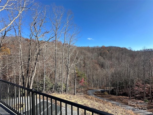 3149 Winter Hawk Ln, Lenoir, NC 28645 - view of mountain background with a forest