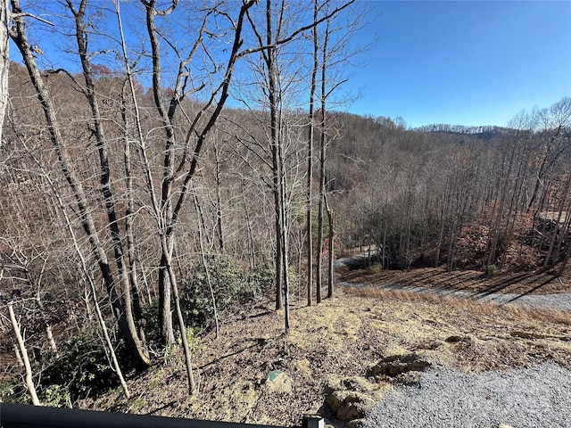 3149 Winter Hawk Ln, Lenoir, NC 28645 - view of mountain background featuring a heavily wooded area