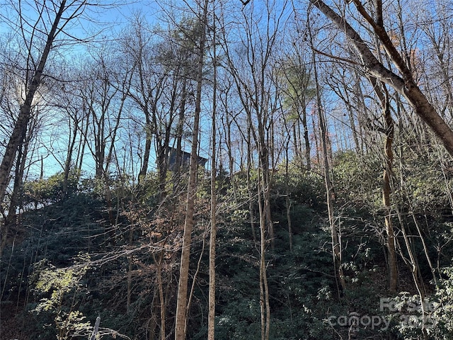 3149 Winter Hawk Ln, Lenoir, NC 28645 - view of woods