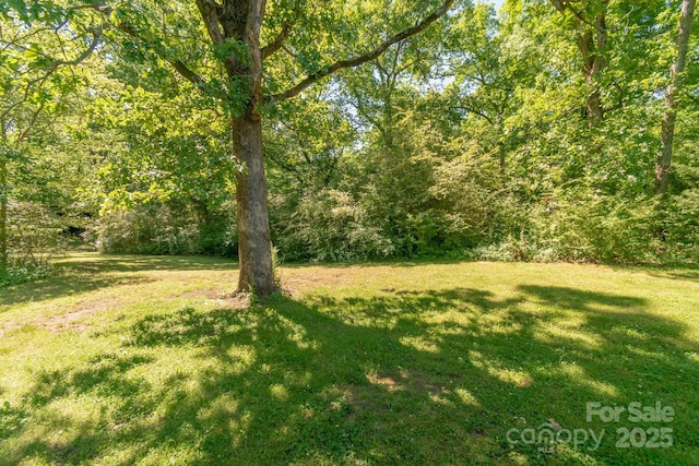 28782 Canton Rd Unit A, Albemarle, NC 28001 - view of green lawn with a forest view